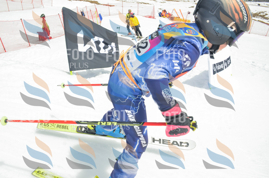 _ELE7970 | holidayphoto