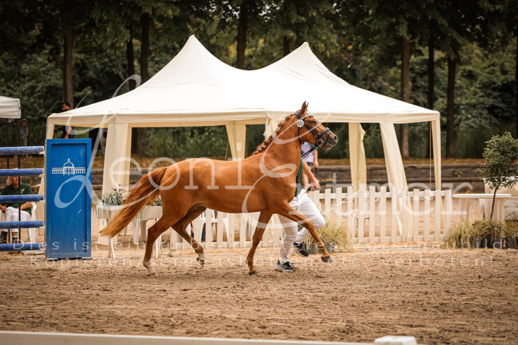 10.-12.Elite00080 | Leoni Ertmer Photography - Realisiert mit Pictrs.com