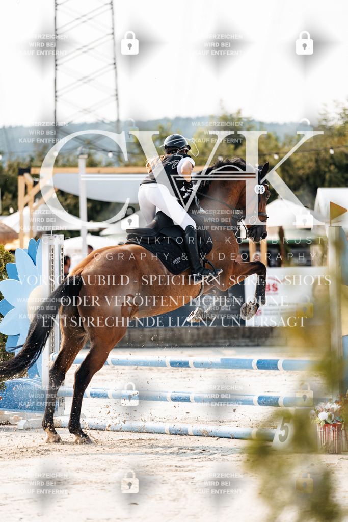 CK902720 | Turnierfotografie Pferdefotografie Trier Rheinland-Pfalz Pferdesport Reitsport Tierfotografie Sportfotografie Pferdevideo Pferdevideografie Equestrianvideography equestrianphotography  - Realisiert mit Pictrs.com