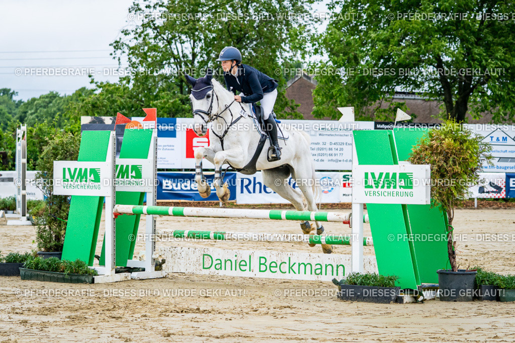 DSC01818 | Pferdegrafie