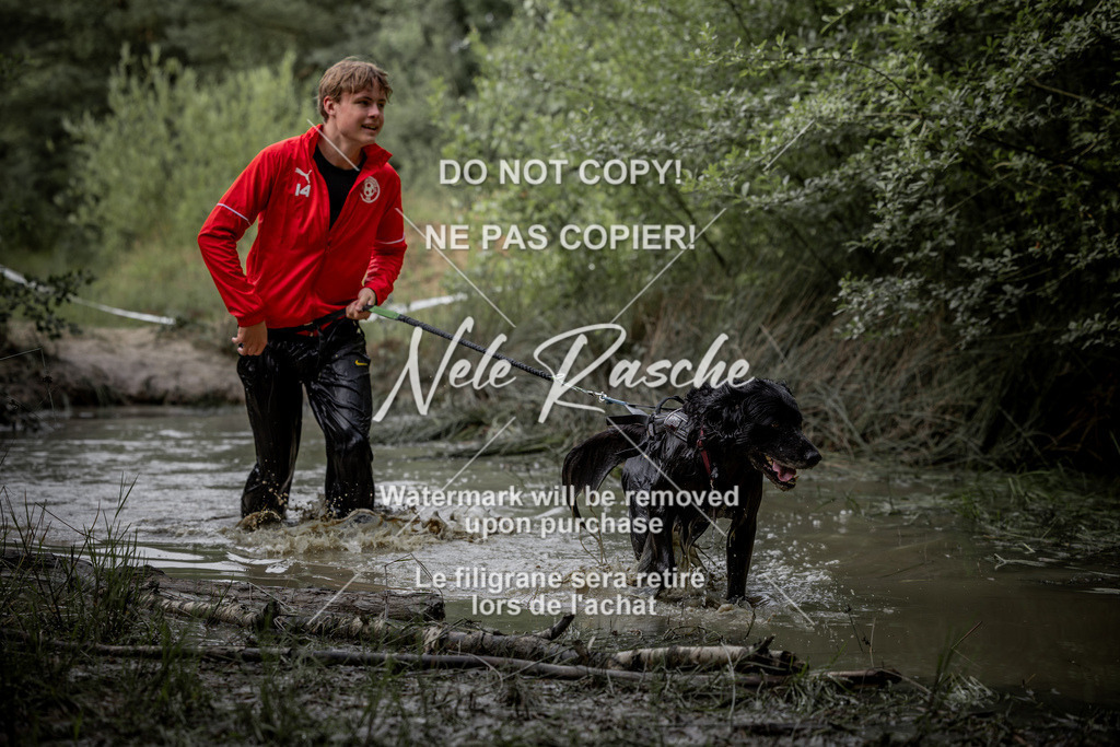 nelerasche_so0800-0930_07 | nelerasche
