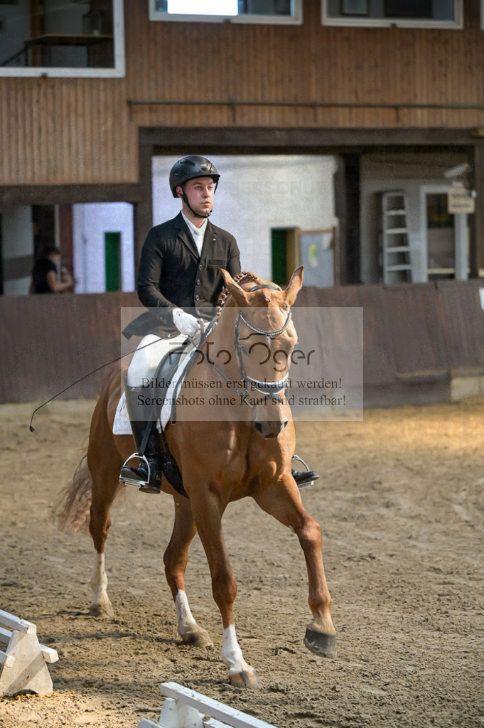 Reitturnier Voxtrup | Entdecke hochwertige Reitturnierfotos von Foto Oger. Professionell, emotional und authentisch – jetzt Lieblingsmomente im Shop bestellen.Deutschlandweite Turnierfotografie. - Realisiert mit Pictrs.com