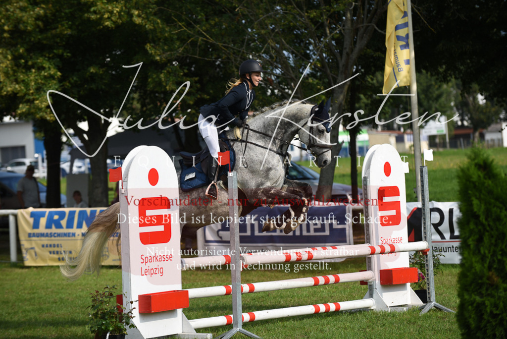 DSC_8766 | Pferde- und Turnierfotografie in Westsachsen. Pferdeportraits, Auftragszeichnungen und intuitive Kunst.