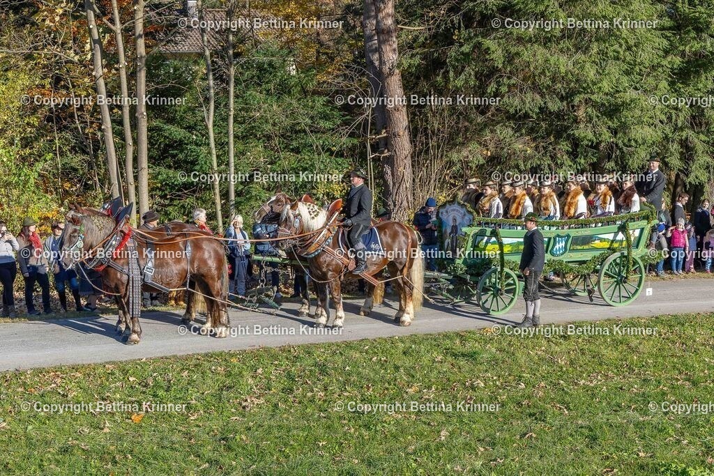 LBT25-120 | foto-bettina-krinner - Realisiert mit Pictrs.com