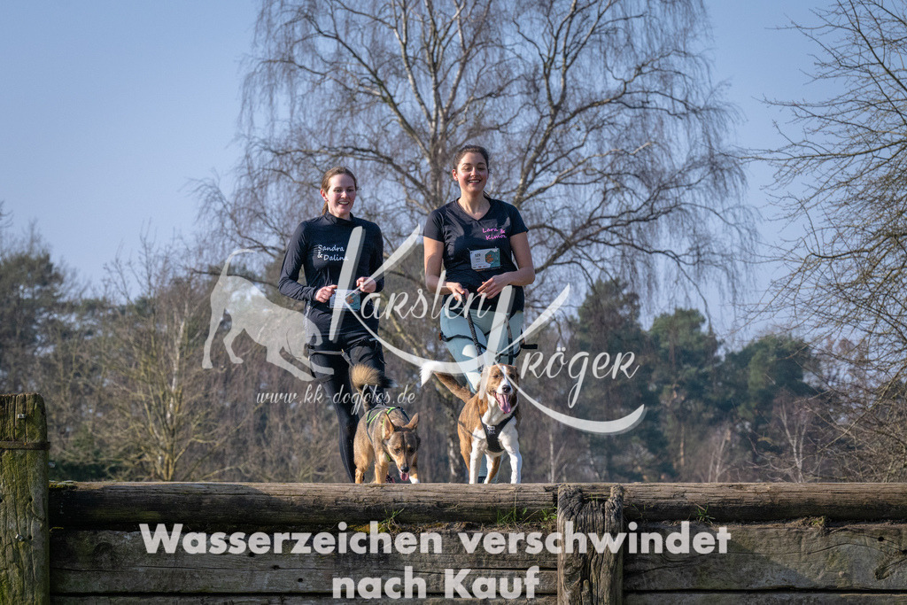 _ZZ91341 | kk-dogfotos