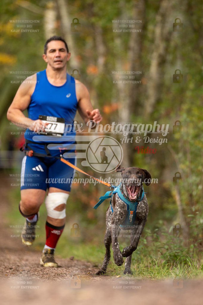 TSB_2023_E4_Canicross-63 | PayLife