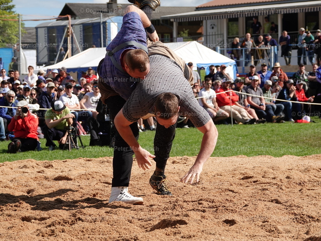 DSC07109 | Schwingen - Realisiert mit Pictrs.com