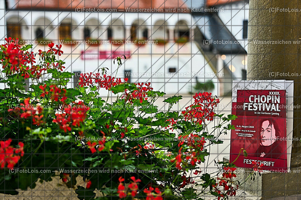 ALP1368_XXXIX-Chopin-Festival_Kartause Praelatenhof | (C)FotoLois.com, Alois Spandl, XXXIX. internationales CHOPIN-Festival in der Kartause Gaming, NOCTURNO - nächtliches Konzert bei Kerzenlicht, Sa 5. August 2023.