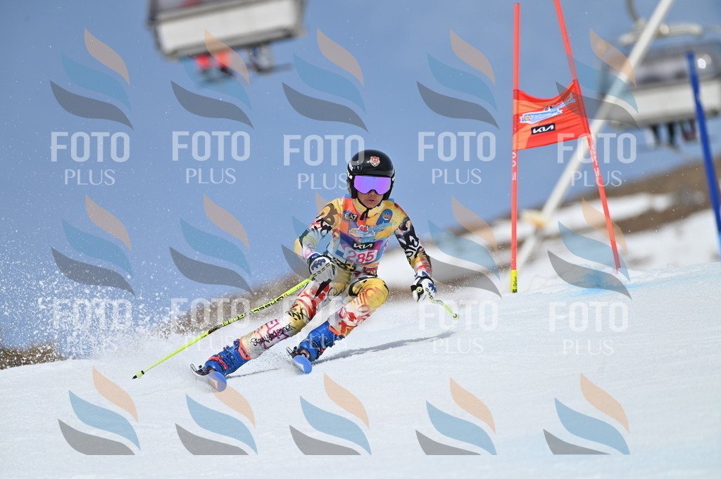 BGV_2500 | holidayphoto