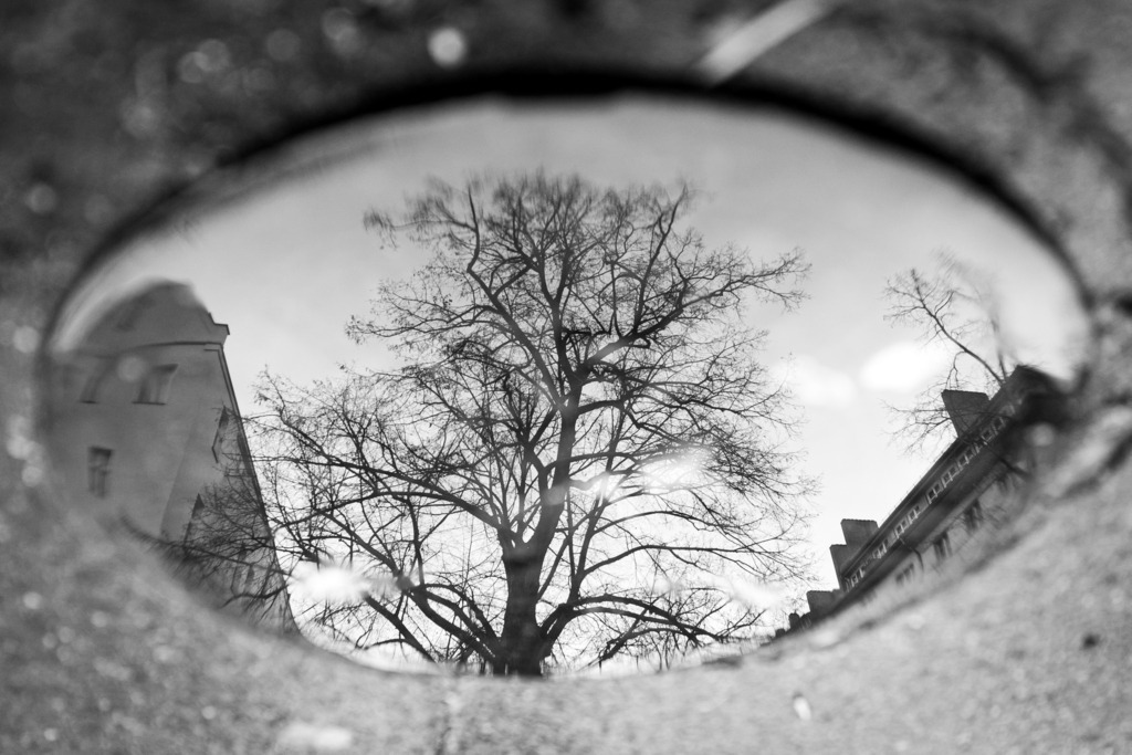 20210106_115843 | kaefersammler_roy - Realisiert mit Pictrs.com