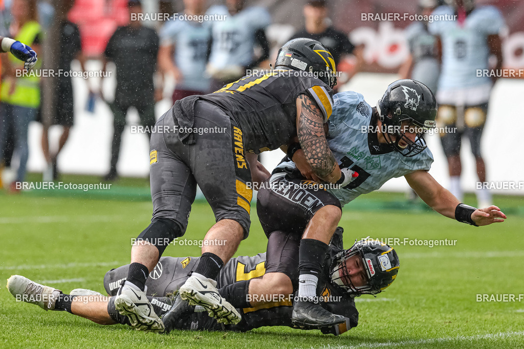 097_Ravens_20230827_0843 | BRAUER-Fotoagentur