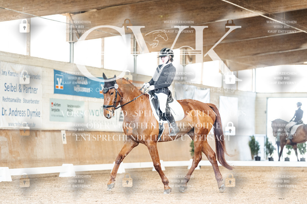 CK901037 | Turnierfotografie Pferdefotografie Trier Rheinland-Pfalz Pferdesport Reitsport Tierfotografie Sportfotografie Pferdevideo Pferdevideografie Equestrianvideography equestrianphotography  - Realisiert mit Pictrs.com