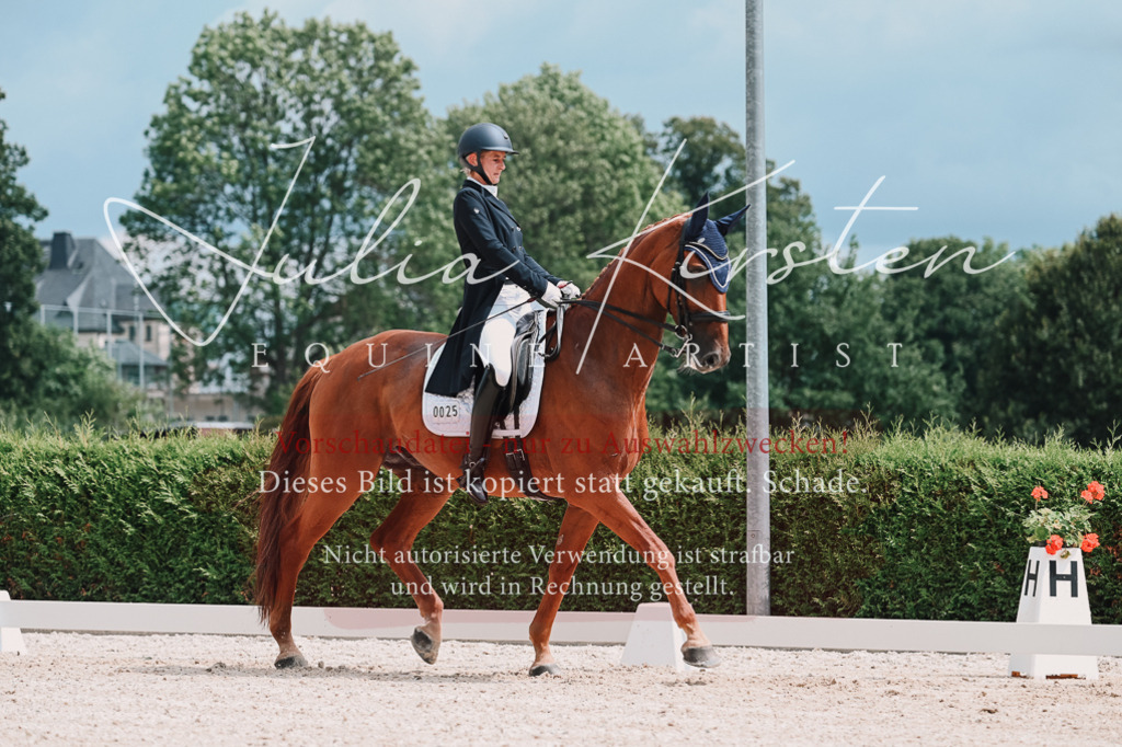 DSC_4213 | Pferde- und Turnierfotografie in Westsachsen. Pferdeportraits, Auftragszeichnungen und intuitive Kunst.