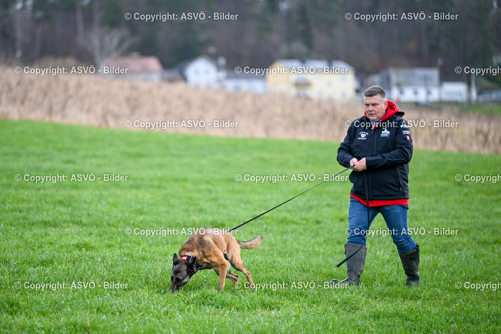 ASVÖ_ Tracking Dog World Championship 2025_ 31.03.2025-67 | 31.03.2025, AUT, ASVÖ, Tracking Dog World Championship // FCI IGP Fährtenhundeweltmeisterschaft 2025©fodo.media / Harald Dostal - Realisiert mit Pictrs.com