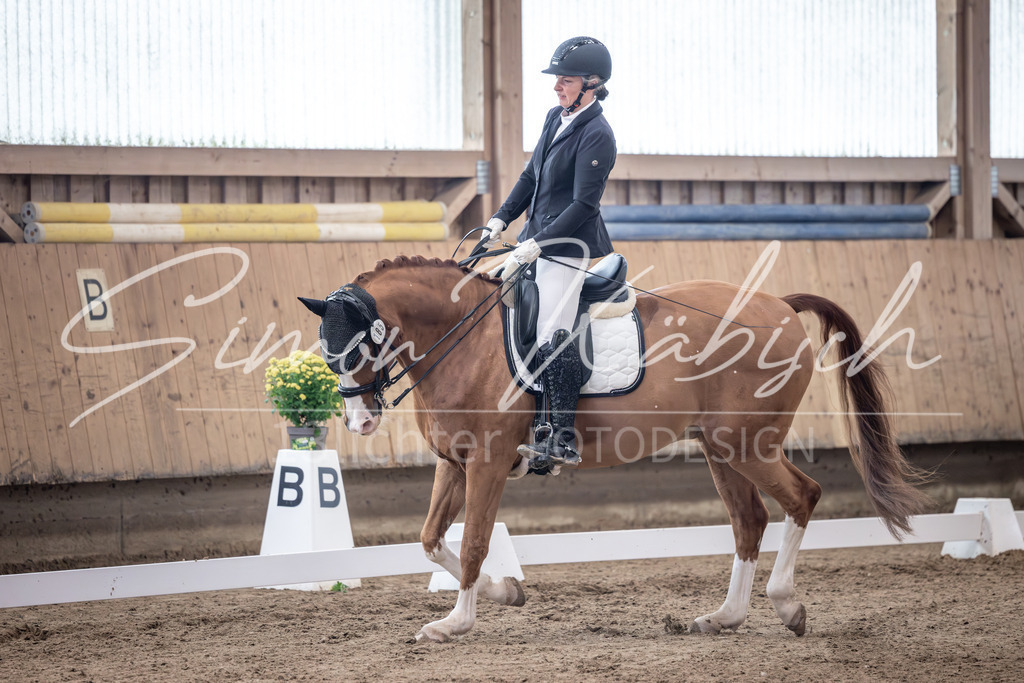 20251011-_3LI1052 | Tierfotografie Pferde, Hunde, Katzen, Haustiere.
Turnierfotografie Reitturniere, Reiten, Springreiten, Dressur in Hanau, dem Main-Kinzig-Kreis und dem Rhein-Main- Gebiet um Frankfurt