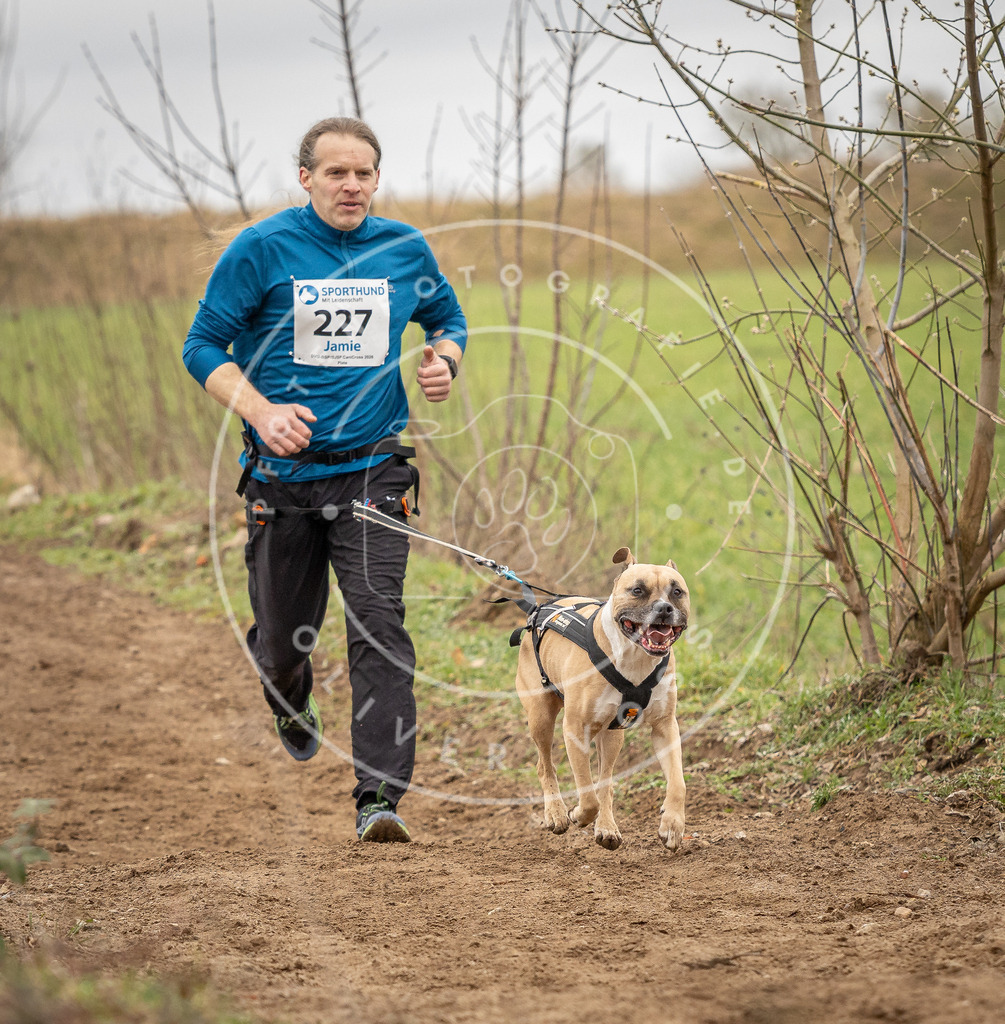 DV3A2690 | Hundefotografie, Tierfotograf, Pfotenfotografie, Fotoshooting Hund, Hunde Portrait, Hundesport, Hundeportraits, Heideshooting, Hunde, Sportfotograf, Hundefotograf, Turnierhundsport, THS,  - Realisiert mit Pictrs.com