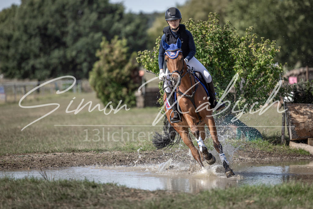 20250907-_3LI9925 | Tierfotografie Pferde, Hunde, Katzen, Haustiere.
Turnierfotografie Reitturniere, Reiten, Springreiten, Dressur in Hanau, dem Main-Kinzig-Kreis und dem Rhein-Main- Gebiet um Frankfurt