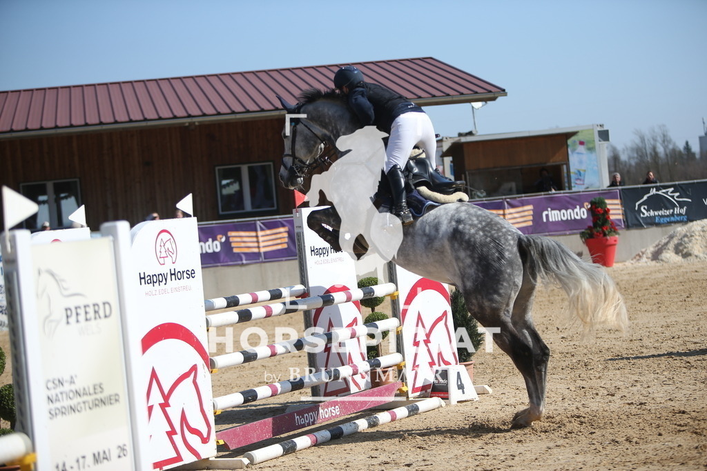 AS8V6091 | Willkommen bei Brunnmayr - Design & Fotografie – Ihrem Spezialisten für Reitturniere und Pferdeveranstaltungen in Oberösterreich, Salzburg und Bayern! Seit über 17 Jahren sind wir leidenschaftlich dabei.