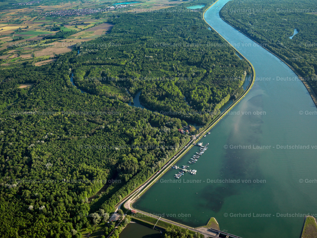 3096075 | Rheinauen bei Weisweil