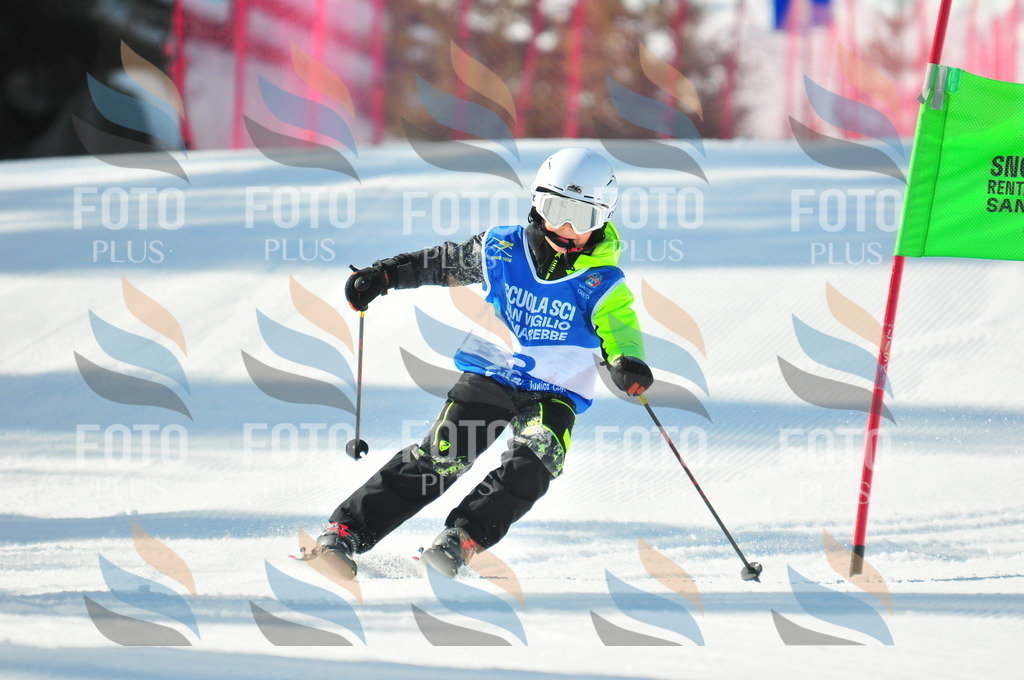 B8902 | holidayphoto