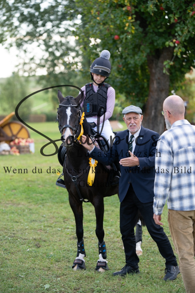 A7V03147 | Turnier/Reitfotograf