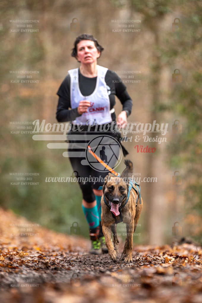 SPA_2023_DIM_CCL-132 | PayLife