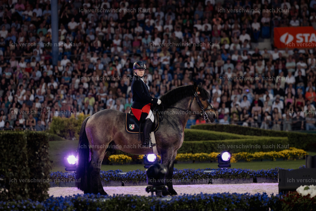 TSCHIO26_PferdundSinfonie_StoibphotographyTSCHIO26_Pferd-Sinfonie_Stoibphotography_AM11437.CR3.jpg | working equitationturnier fotograf videograf stoibphotography marixx film working equitation deutschland reitsport turnierfotografie eventfotografie equestrian events