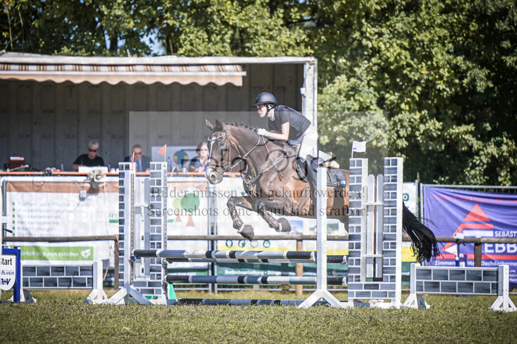 DOS_0267 | Entdecke hochwertige Reitturnierfotos von Foto Oger. Professionell, emotional und authentisch – jetzt Lieblingsmomente im Shop bestellen.Deutschlandweite Turnierfotografie. - Realisiert mit Pictrs.com