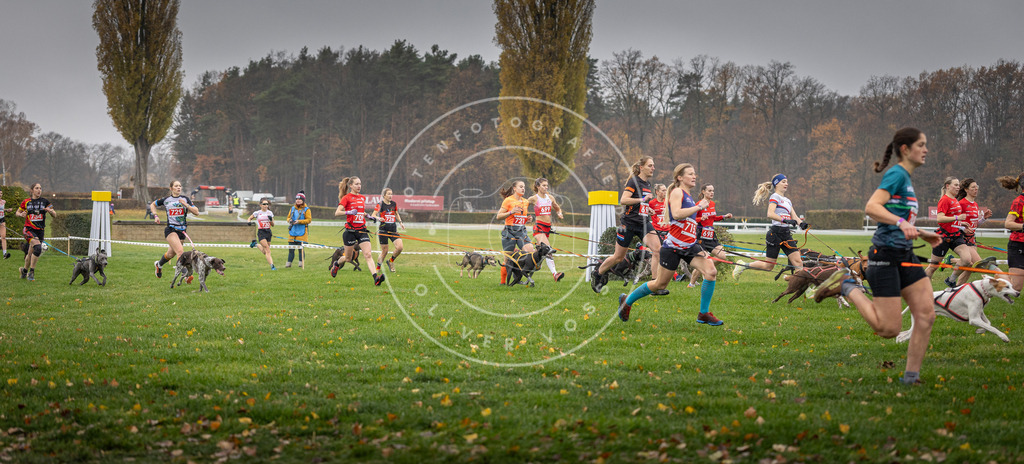 CaniXpix_DV3A8807 | Hundefotografie, Tierfotograf, Pfotenfotografie, Fotoshooting Hund, Hunde Portrait, Hundesport, Hundeportraits, Heideshooting, Hunde, Sportfotograf, Hundefotograf, Turnierhundsport, THS,  - Realisiert mit Pictrs.com