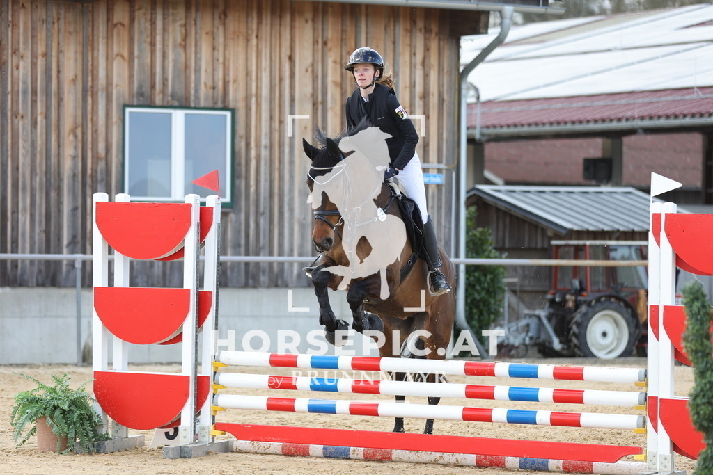 0P6A7212 | Willkommen bei Brunnmayr - Design & Fotografie – Ihrem Spezialisten für Reitturniere und Pferdeveranstaltungen in Oberösterreich, Salzburg und Bayern! Seit über 17 Jahren sind wir leidenschaftlich dabei.