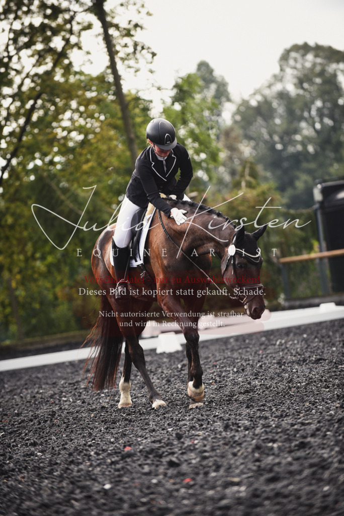 DSC_3741 | Pferde- und Turnierfotografie in Westsachsen. Pferdeportraits, Auftragszeichnungen und intuitive Kunst.