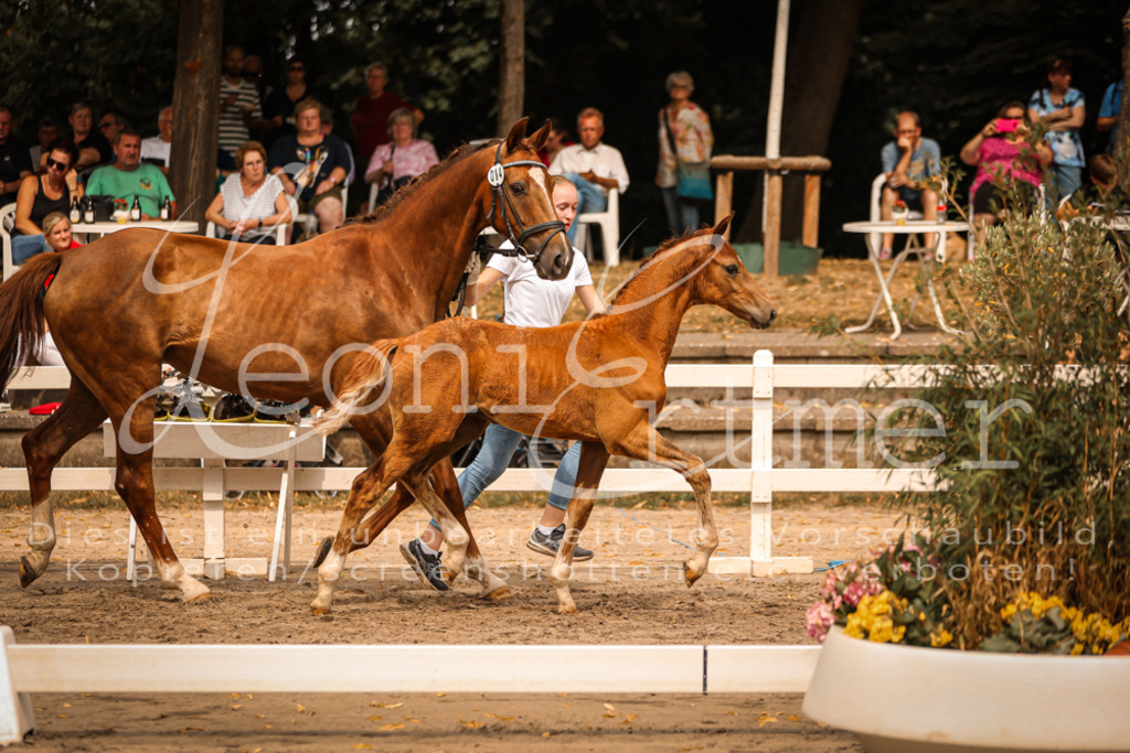 SaPA00194 | Leoni Ertmer Photography - Realisiert mit Pictrs.com