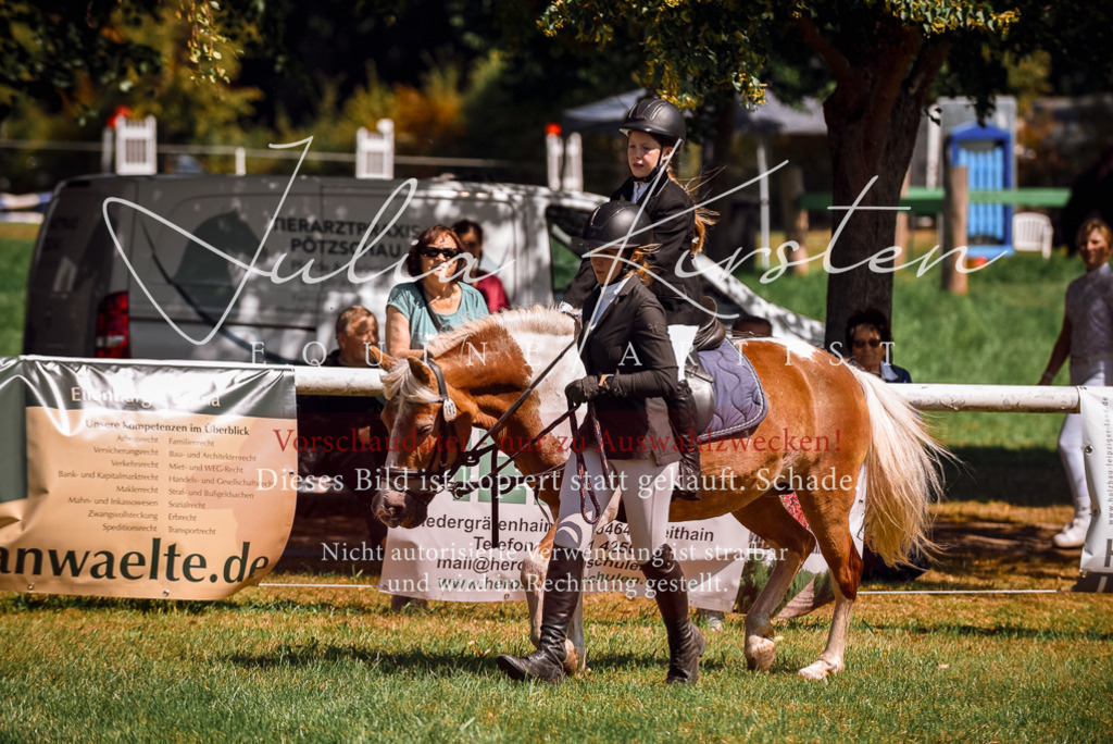 DSC_9688 | Pferde- und Turnierfotografie in Westsachsen. Pferdeportraits, Auftragszeichnungen und intuitive Kunst.