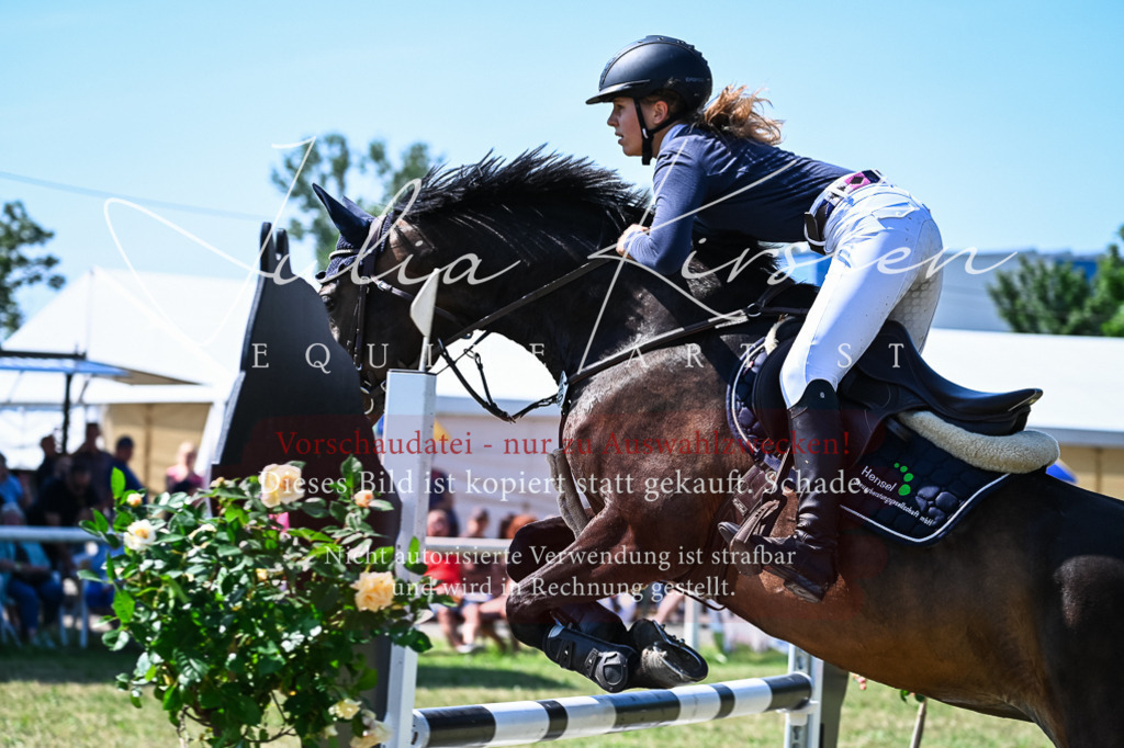 DSC_1316 | Pferde- und Turnierfotografie in Westsachsen. Pferdeportraits, Auftragszeichnungen und intuitive Kunst.