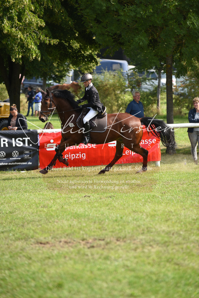 DSC_8816 | Pferde- und Turnierfotografie in Westsachsen. Pferdeportraits, Auftragszeichnungen und intuitive Kunst.