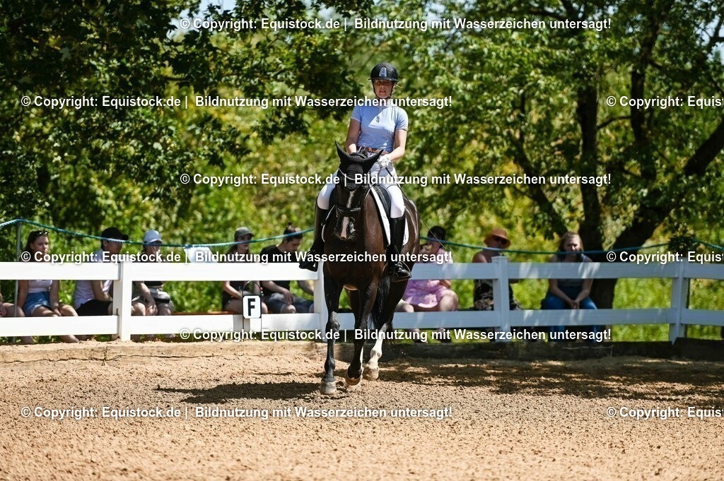20230715_02_Dressurreiterprüfung Kl.L_0034 | equistock