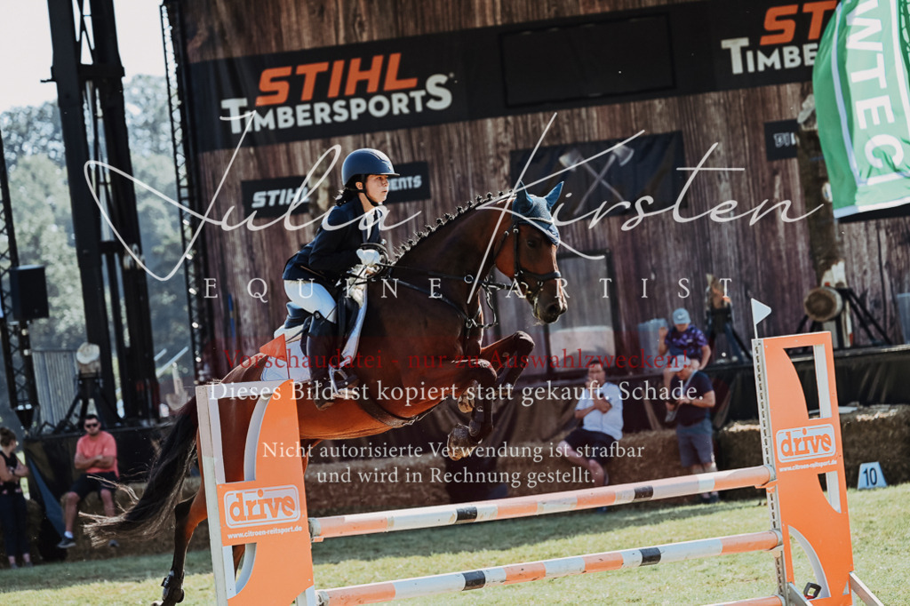 DSC_5553 | Pferde- und Turnierfotografie in Westsachsen. Pferdeportraits, Auftragszeichnungen und intuitive Kunst.