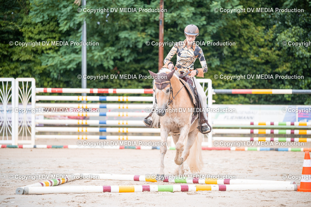 ZS2_3882 | dv-media-shop - Realisiert mit Pictrs.com