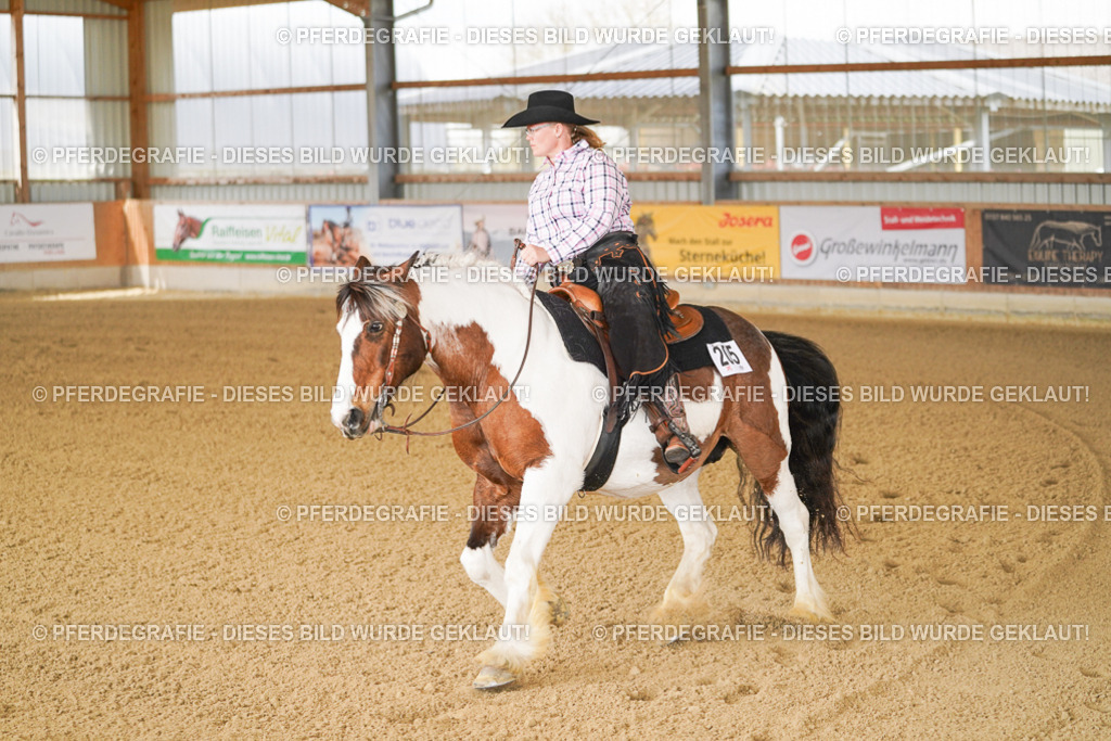 DSC02443 | Pferdegrafie