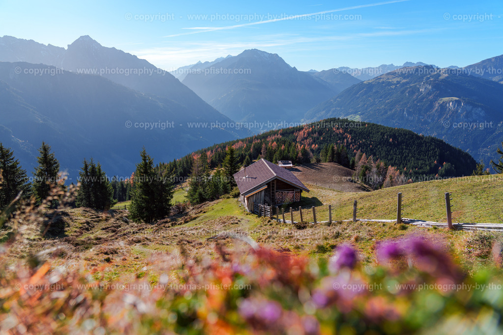 Laberg Herbst copyright  Thomas Pfister-9 | PHOTOGRAPHY BY THOMAS PFISTER