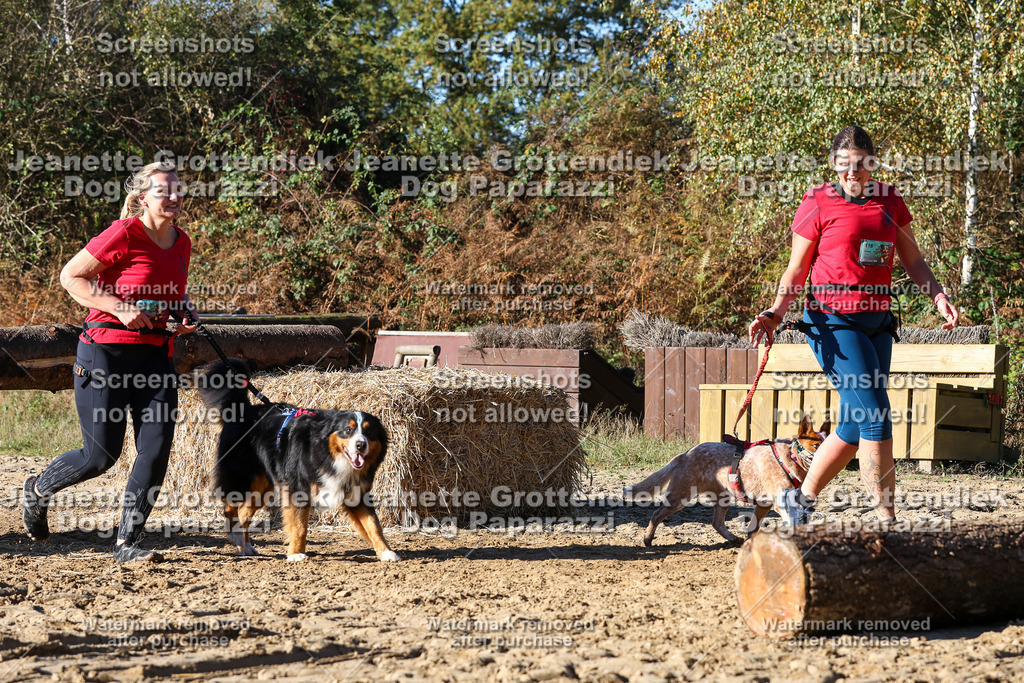 Dog Paparazzi - Strongdog 10-25-2208 | Dog Paparazzi Jeanette Grottendiek Fotografie & Videografie - Realisiert mit Pictrs.com