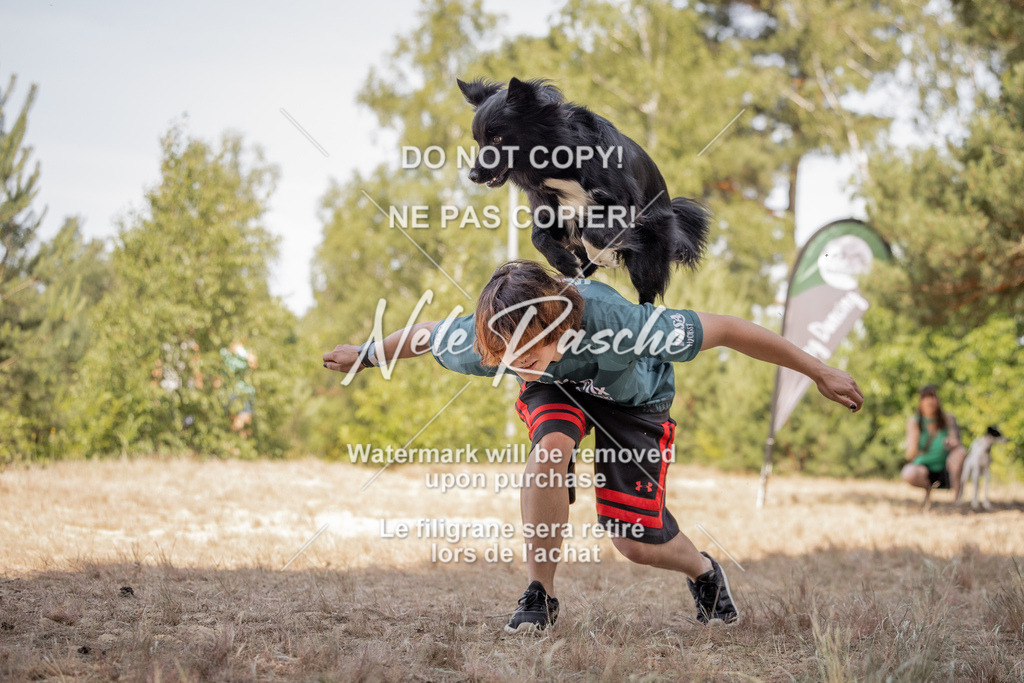 nelerasche_soDD2_347 | nelerasche