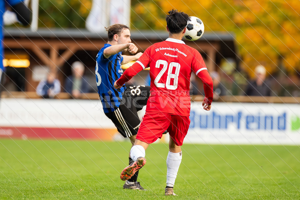 20251012_Picselweb-Fotografie_1R3_0781 | Dein Fotograf aus dem Landkreis Stade für Sport und Events - Realisiert mit Pictrs.com