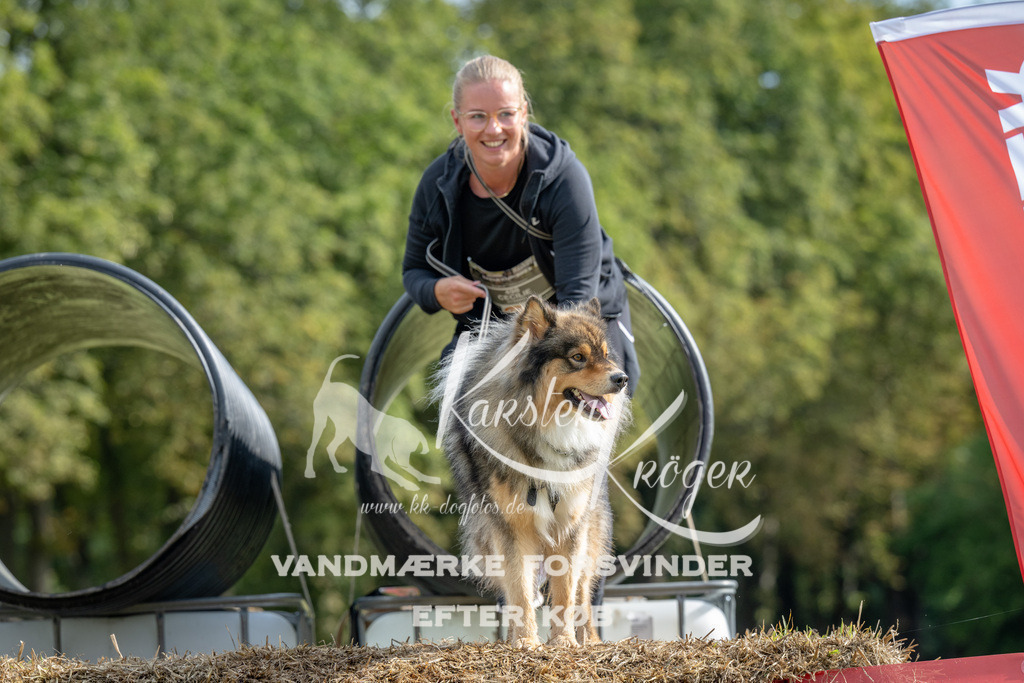 1027_ZZ92134 | kk-dogfotos