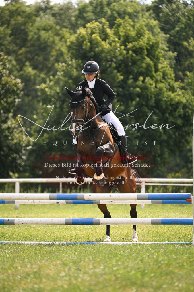 DSC_9093 | Pferde- und Turnierfotografie in Westsachsen. Pferdeportraits, Auftragszeichnungen und intuitive Kunst.