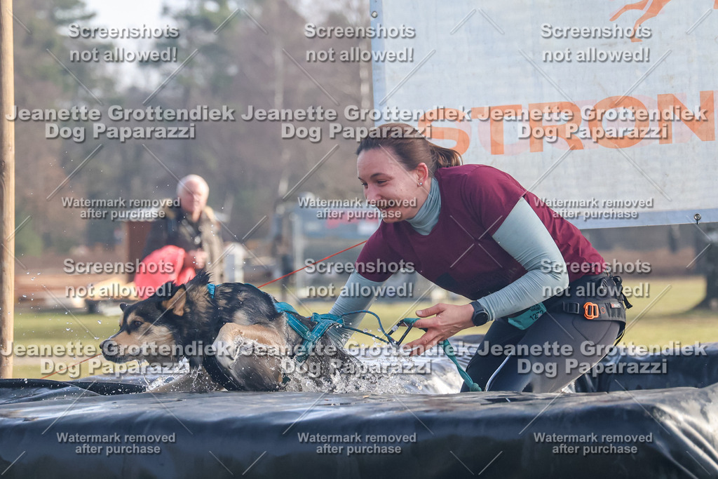 Dog Paparazzi - Strongdog North Mrz26-40 | Dog Paparazzi Jeanette Grottendiek Fotografie & Videografie - Realisiert mit Pictrs.com
