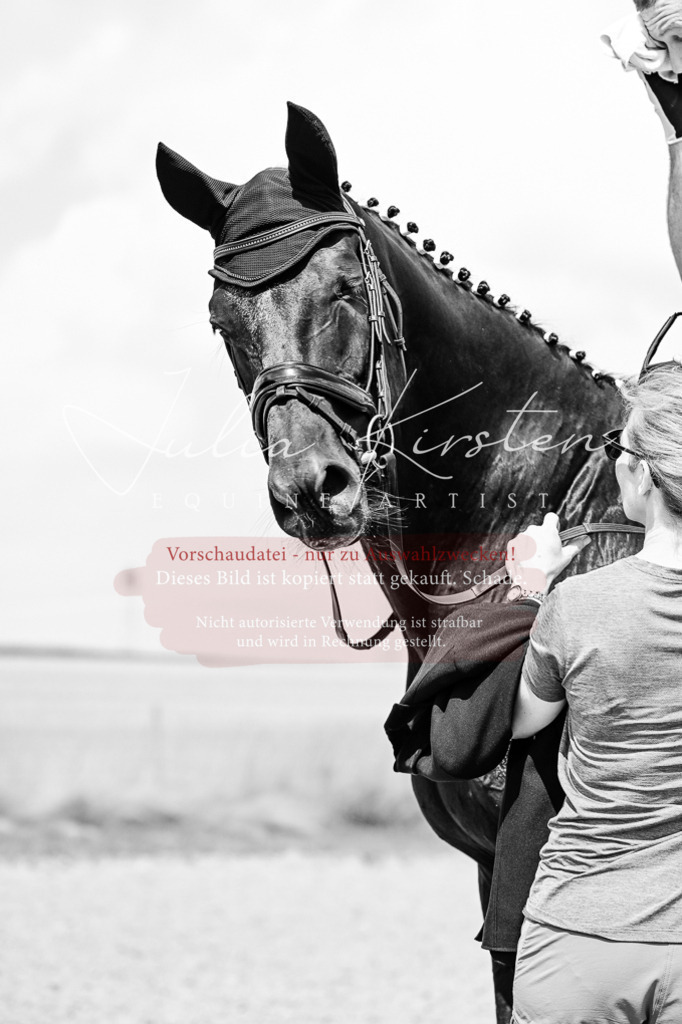 DSC_2729 | Pferde- und Turnierfotografie in Westsachsen. Pferdeportraits, Auftragszeichnungen und intuitive Kunst.