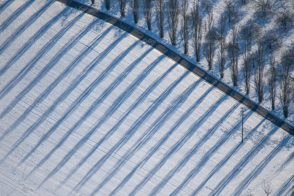4043109 | winterliche Baumstrukturen beim Weingut Benz bei Beckstein