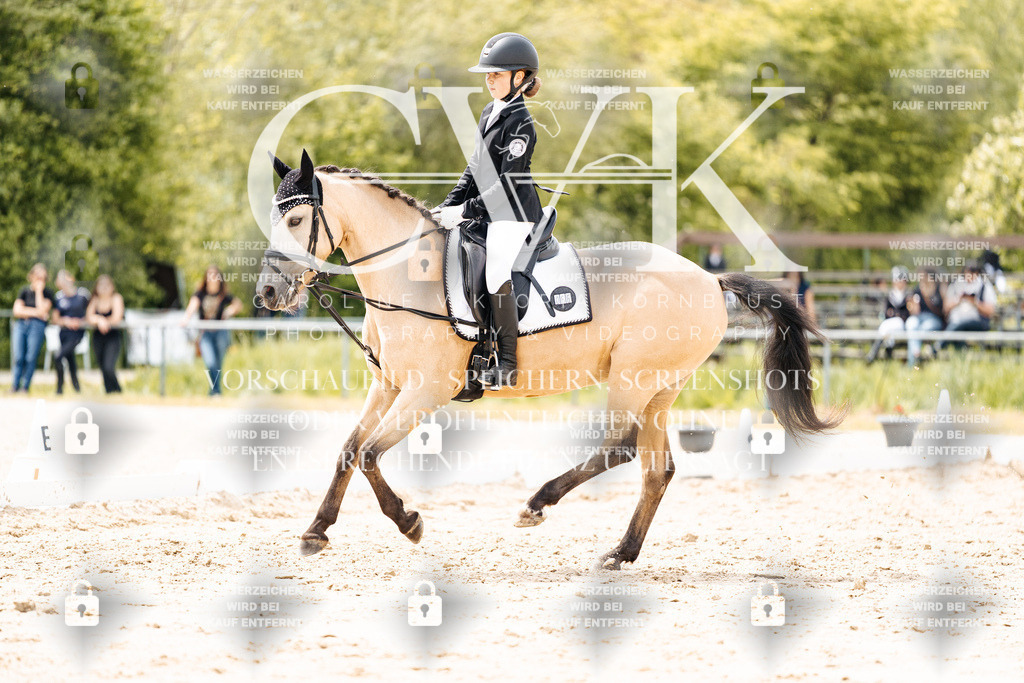 CK902523 | Turnierfotografie Pferdefotografie Trier Rheinland-Pfalz Pferdesport Reitsport Tierfotografie Sportfotografie Pferdevideo Pferdevideografie Equestrianvideography equestrianphotography  - Realisiert mit Pictrs.com