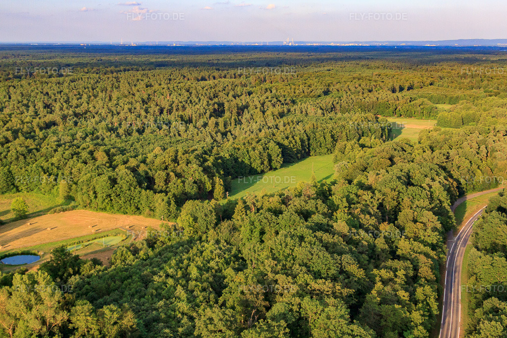 Luftbild: Wiesenlichtungen beim Bienwaldmühle in Scheibenhardt im Bundesland Rheinland-Pfalz in Deutschland. Foto: IMG_59052.jpg vom 04.08.2013 durch Werner Riehm/FLY-FOTO.de